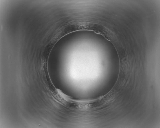 X0000058810225200509301242