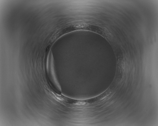 X0000058810227200509301242