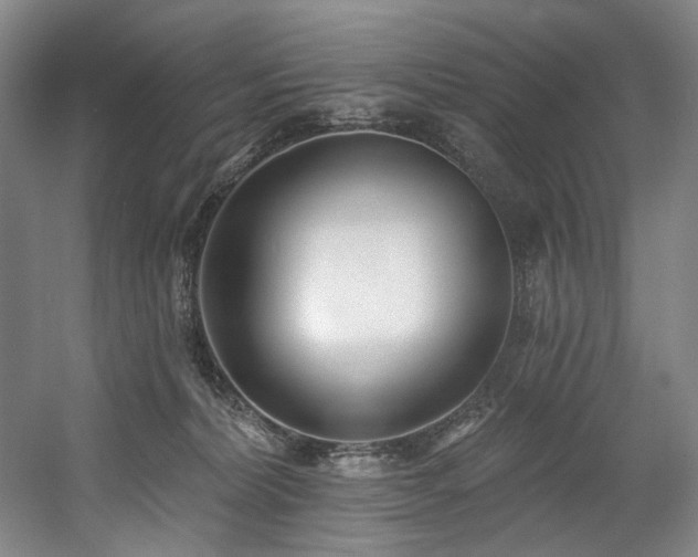 X0000058810228200509301242