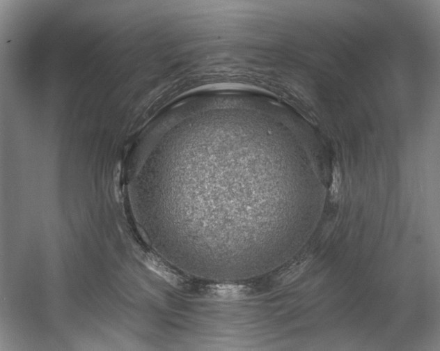 X0000058810233200509301242