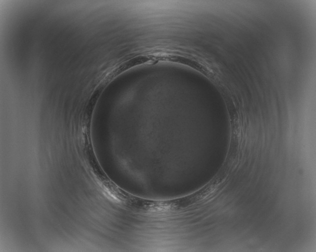 X0000058810235200509301241