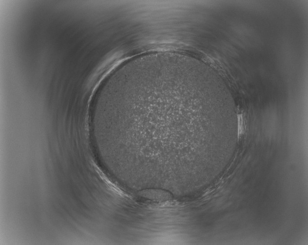 X0000058810243200509301241