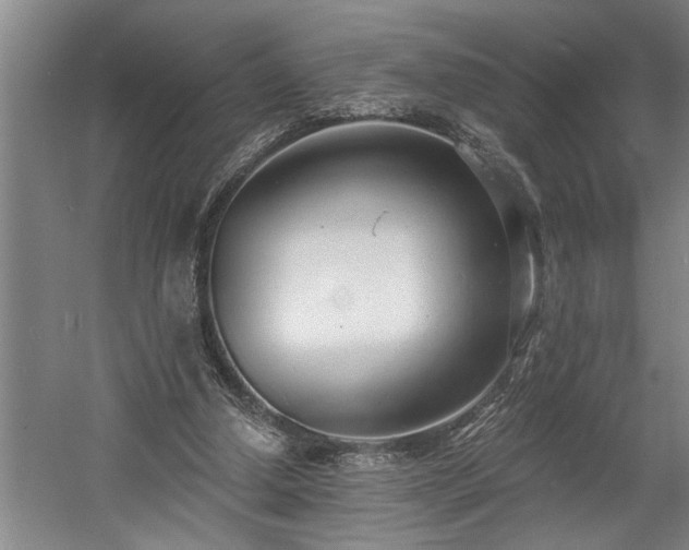 X0000058810250200509301241