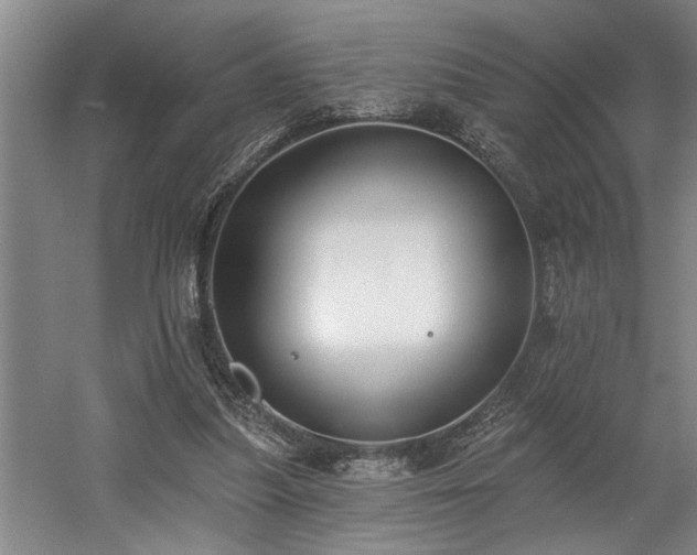 X0000058810251200509301241