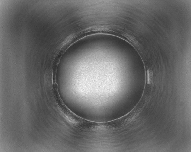 X0000058810253200509301241