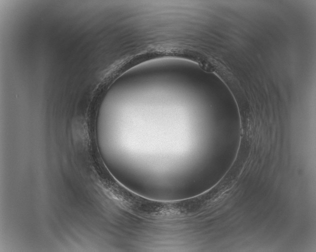 X0000058810256200509301241