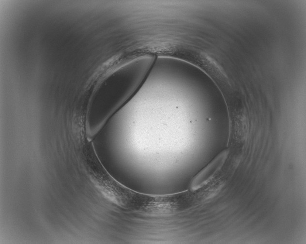 X0000058810260200509301241