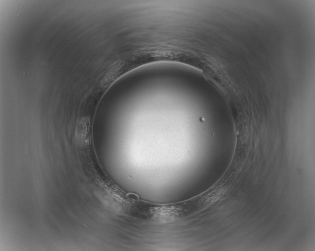 X0000058810273200509301241