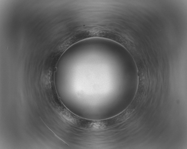 X0000058810275200509301241