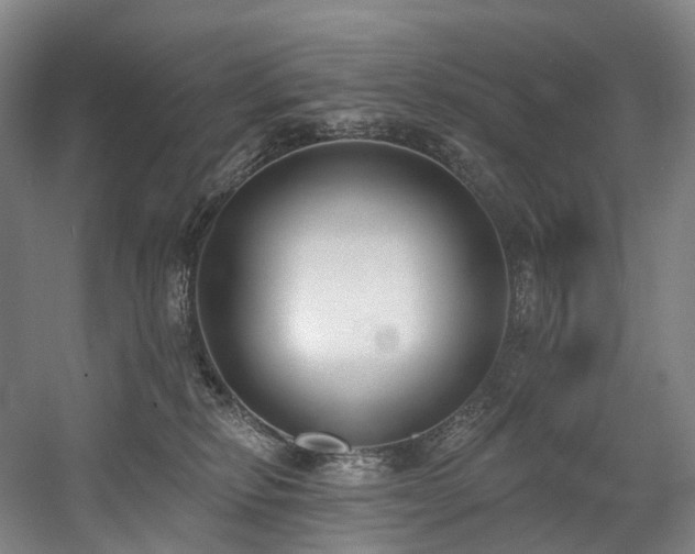 X0000058810278200509301241