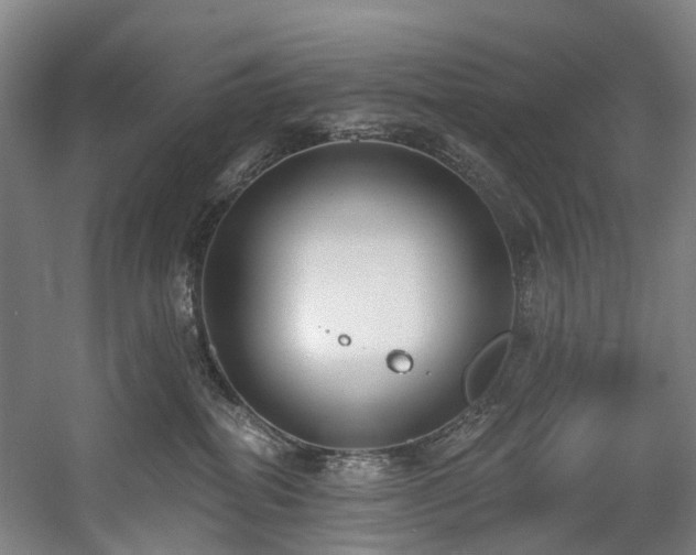 X0000058810282200509301241