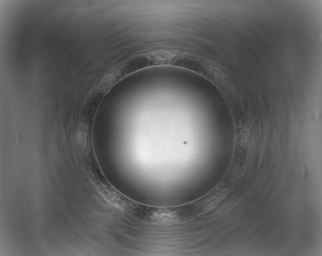 X0000058810283200509301241