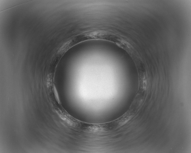 X0000058810284200509301241