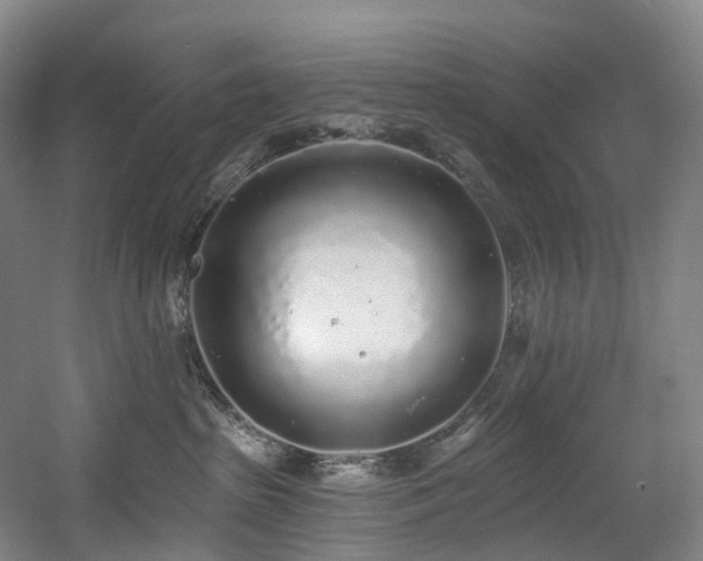 X0000058810285200509301241