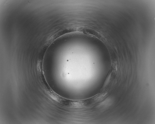 X0000058810286200509301241