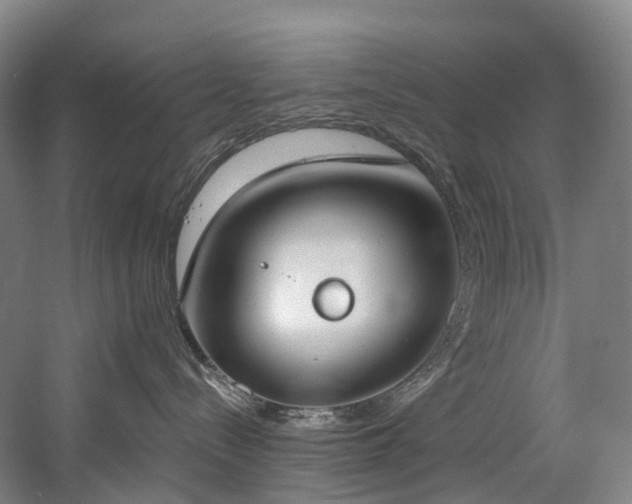 X0000058810288200509301241