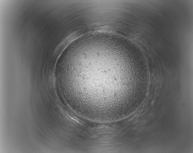 X0000058810290200509301241