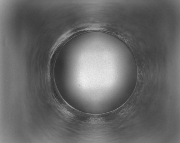 X0000058810296200509301240