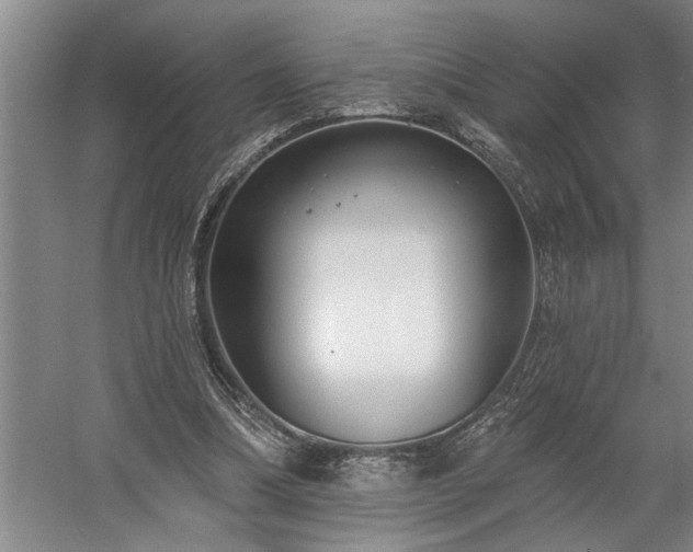 X0000058810298200509301240