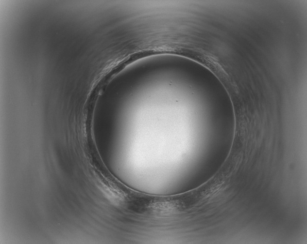 X0000058810299200509301240