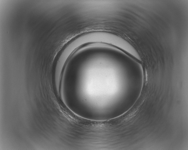 X0000058810301200509301240