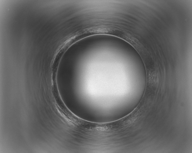 X0000058810302200509301240