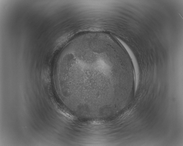 X0000058810303200509301240