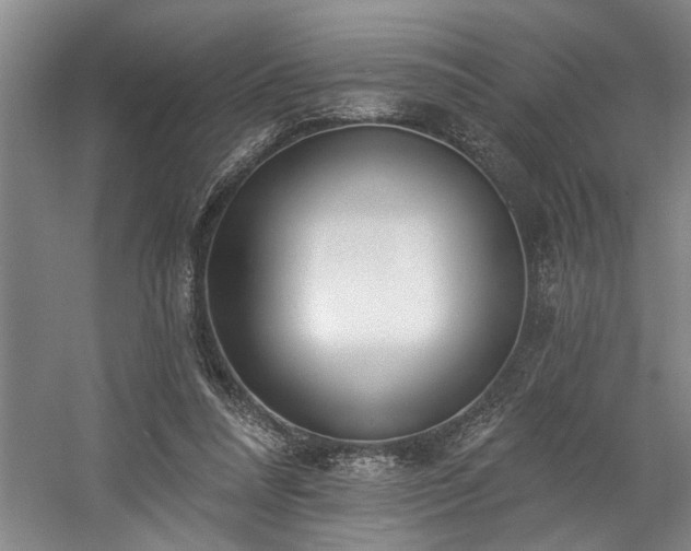 X0000058810304200509301240