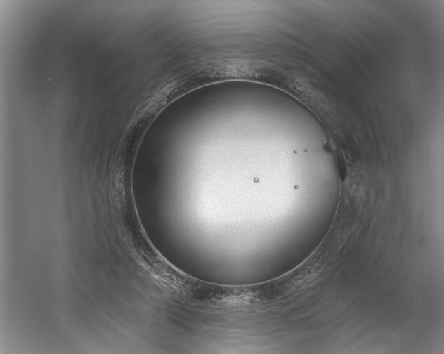 X0000058810306200509301240