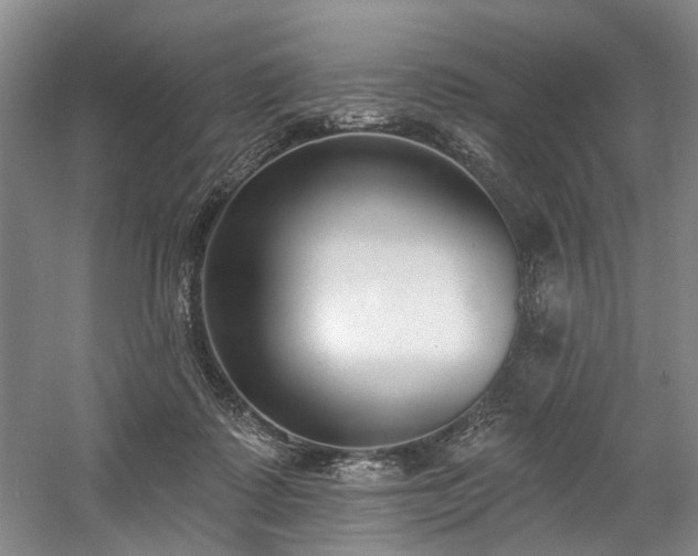 X0000058810315200509301240