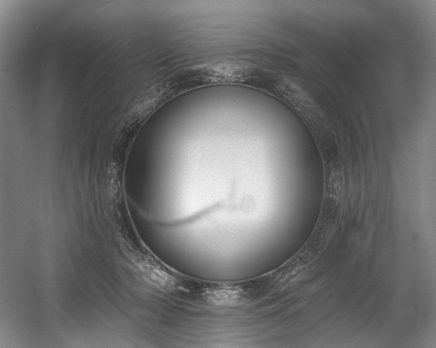 X0000058810318200509301240