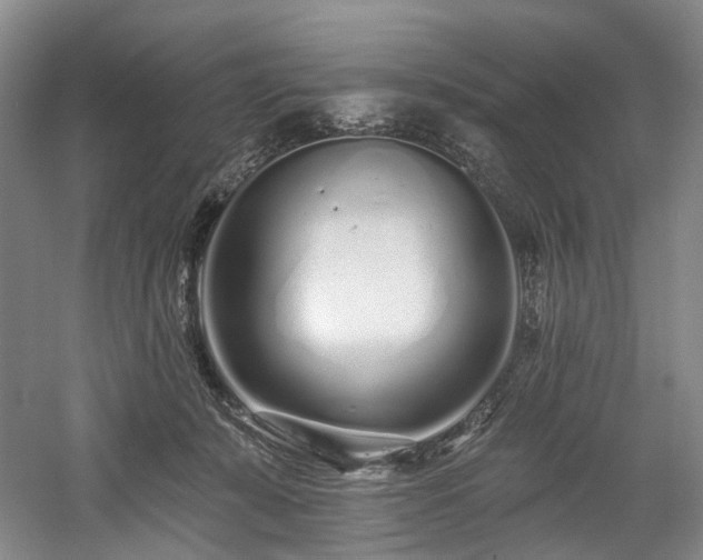 X0000058810319200509301240