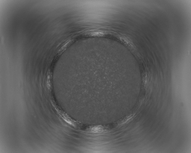 X0000058810325200509301240