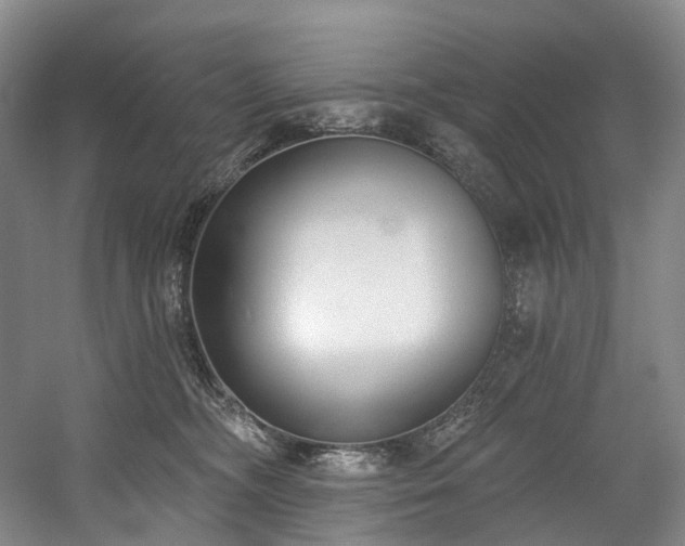 X0000058810326200509301240