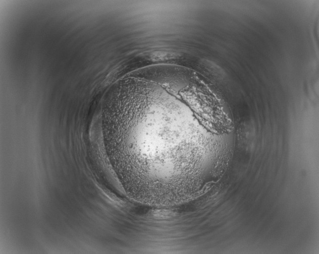 X0000058810327200509301240