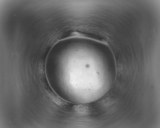 X0000058810331200509301240