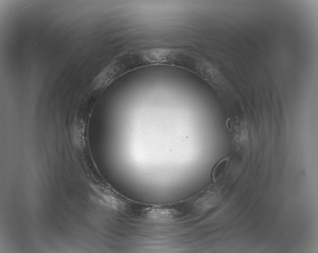 X0000058810332200509301240