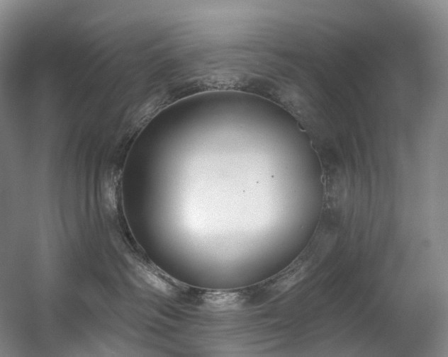 X0000058810334200509301240