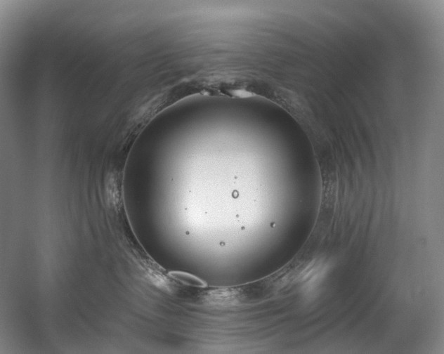 X0000058810335200509301240