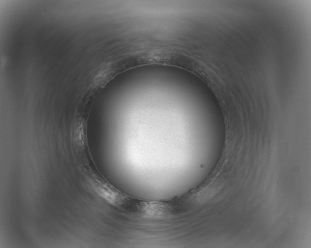 X0000058810336200509301240