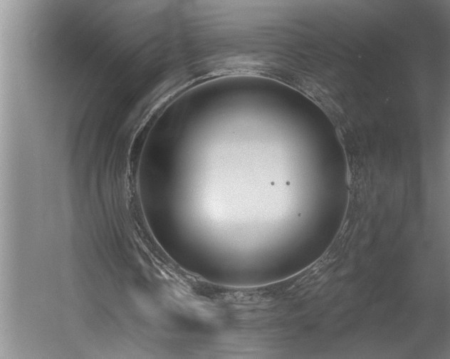 X0000058810338200509301239