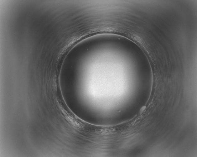 X0000058810345200509301239