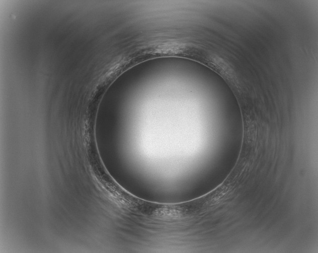 X0000058810354200509301239