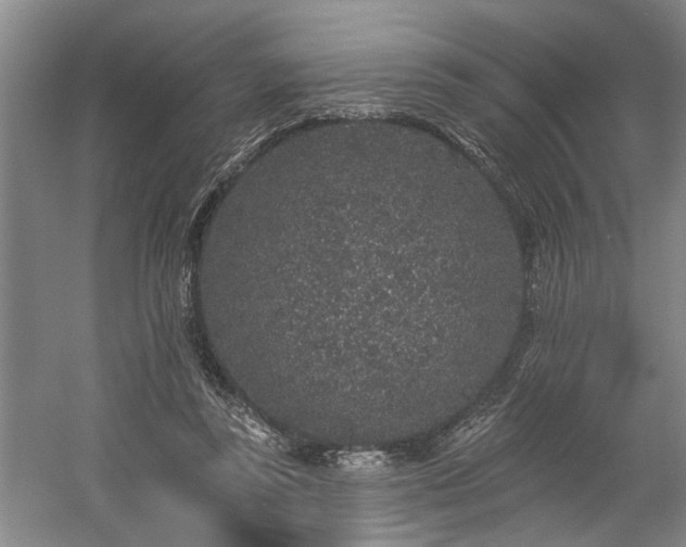 X0000058810355200509301239