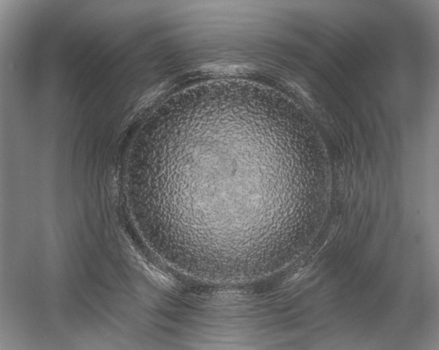 X0000058810357200509301239