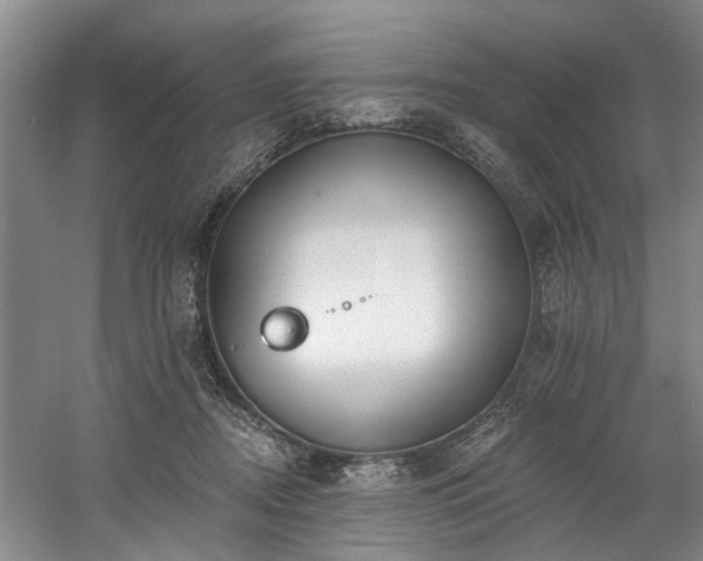 X0000058810362200509301239