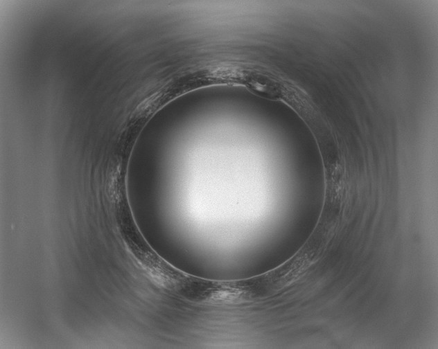 X0000058810364200509301239