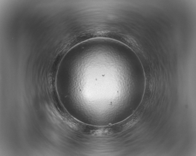 X0000058810366200509301239