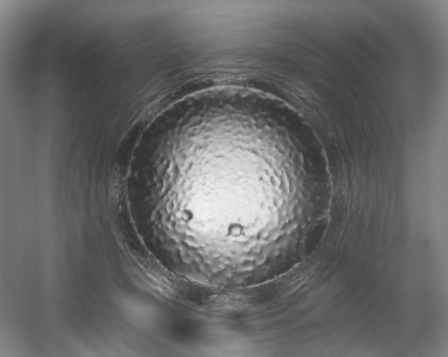 X0000058810367200509301239