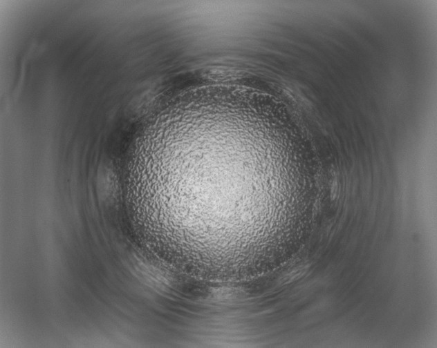 X0000058810371200509301239